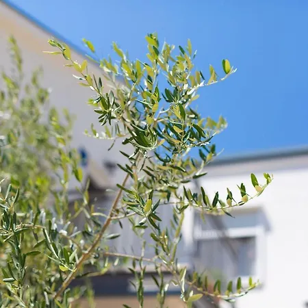 Milena By El-pi Tours * Njivice